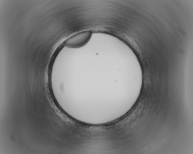 X0000113080944200909250946