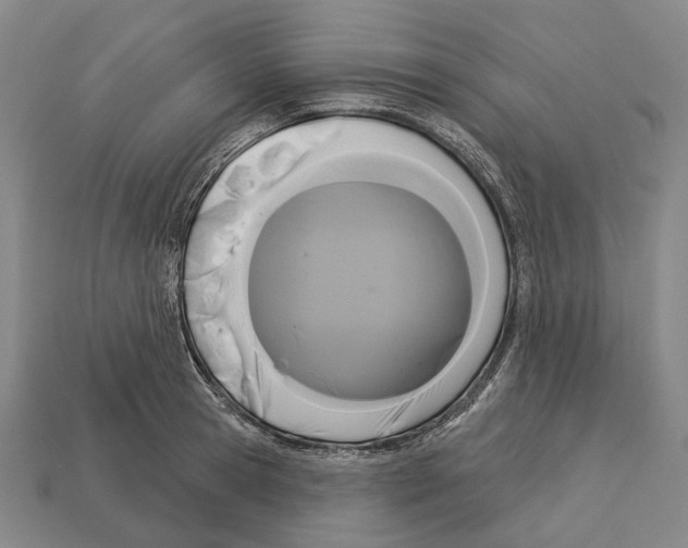 X0000113080945200909250946