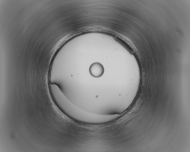 X0000113080946200909250946