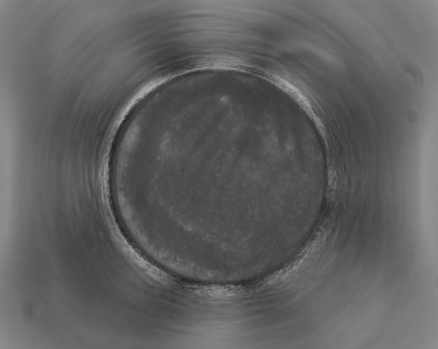 X0000113080947200909250946