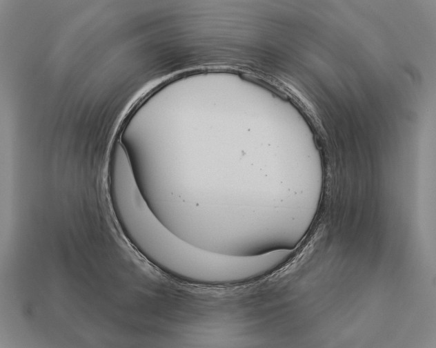 X0000113080948200909250946