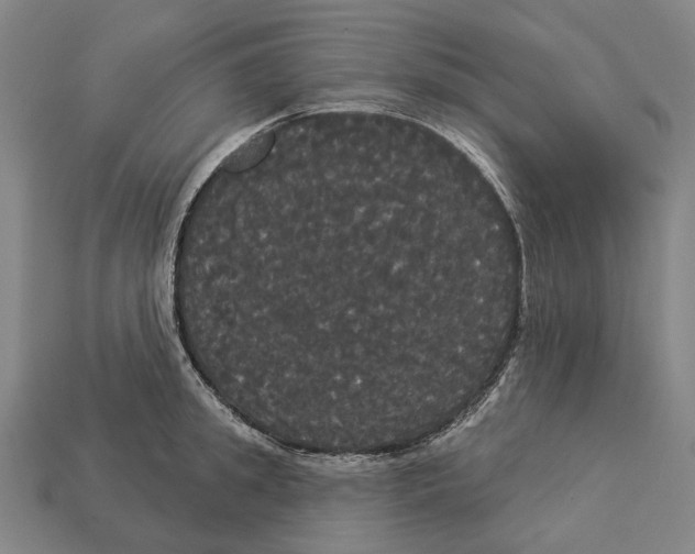 X0000113080949200909250946