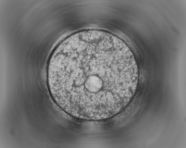 X0000113080950200909250946