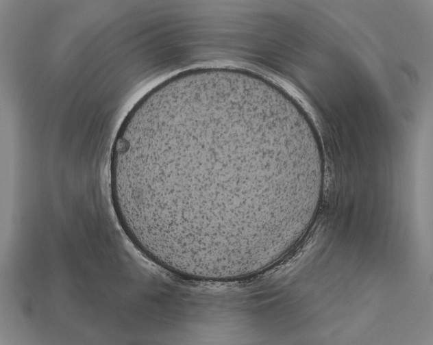 X0000113080951200909250947