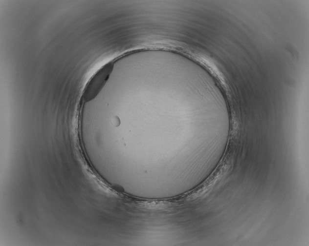 X0000113080952200909250947