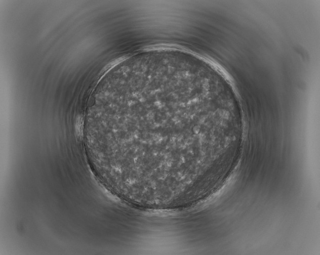 X0000113080953200909250947