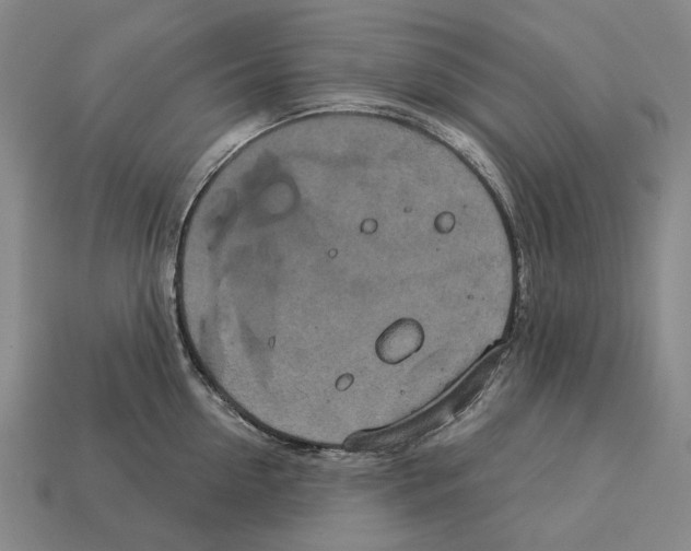 X0000113080954200909250947