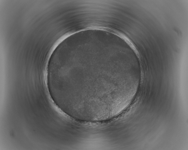 X0000113080955200909250947