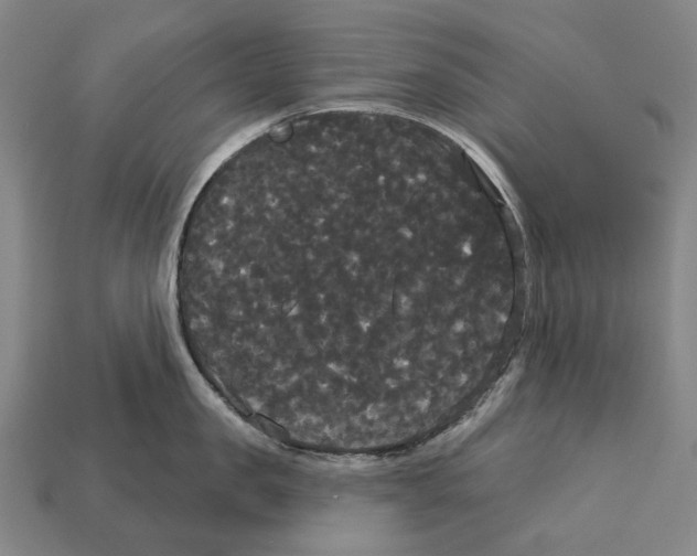 X0000113080957200909250947