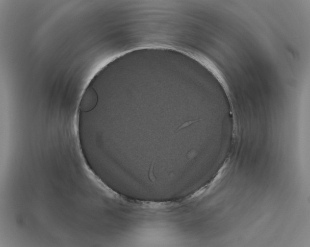 X0000113080958200909250947