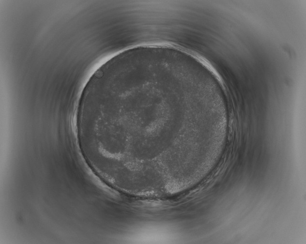 X0000113080959200909250947