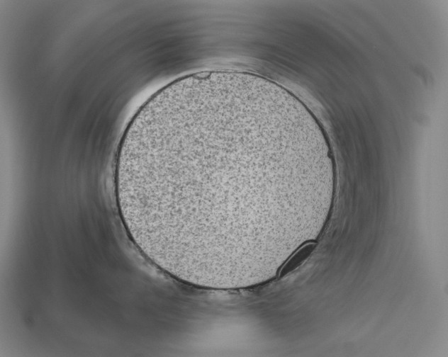 X0000113080960200909250947