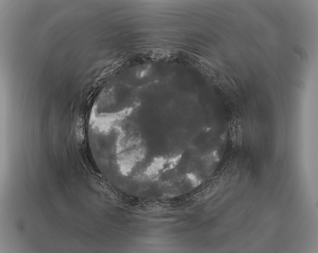 X0000113080962200909250946