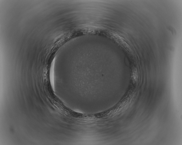 X0000113080964200909250946