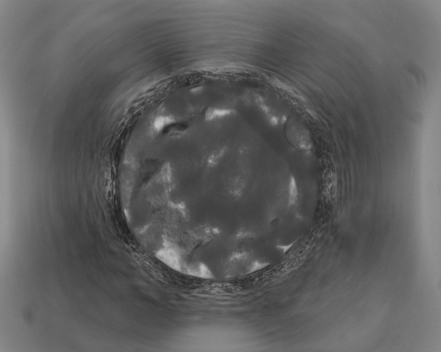 X0000113080966200909250946