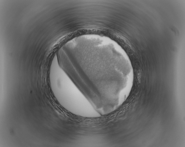 X0000113080968200909250946