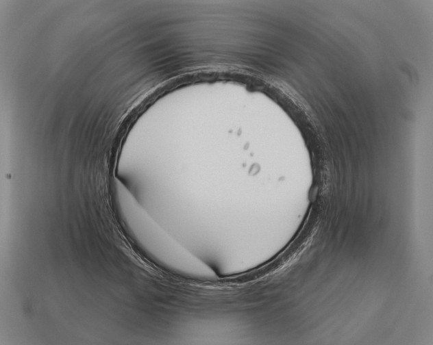 X0000113080969200909250946