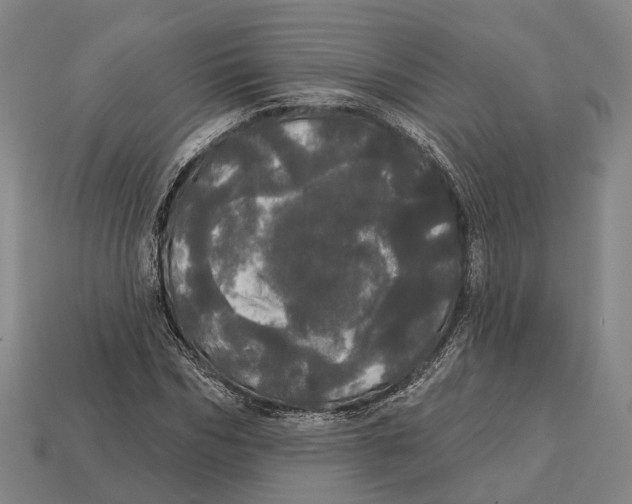 X0000113080970200909250946