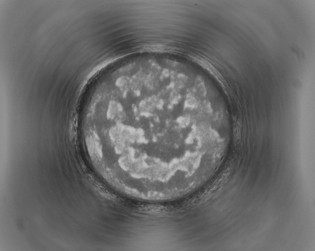 X0000113080971200909250946