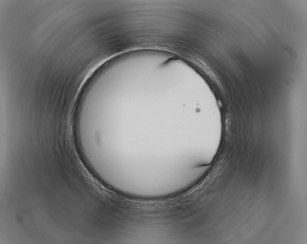 X0000113080972200909250946