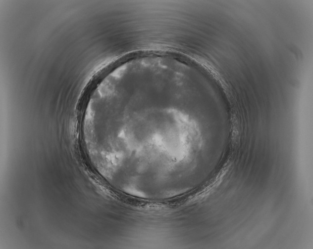 X0000113080974200909250946