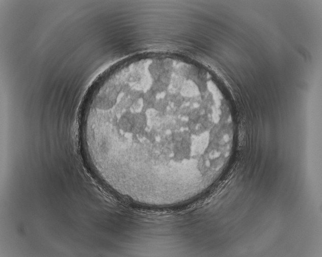 X0000113080975200909250946