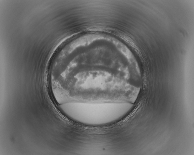 X0000113080976200909250946
