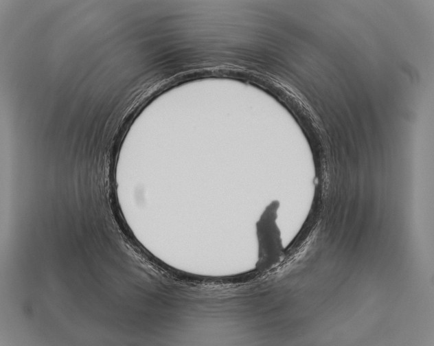 X0000113080977200909250946