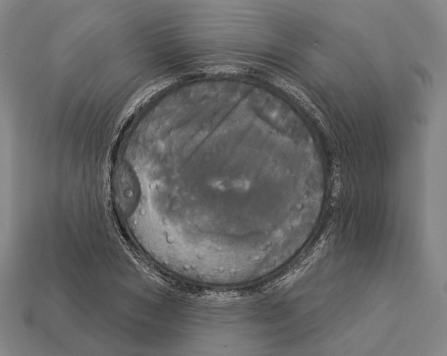 X0000113080978200909250946