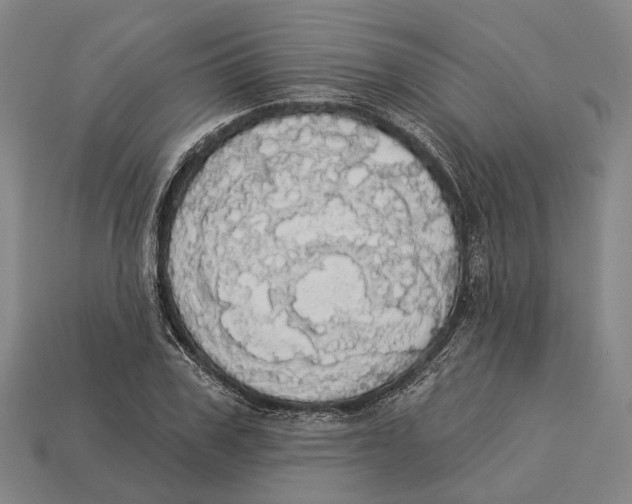 X0000113080979200909250946