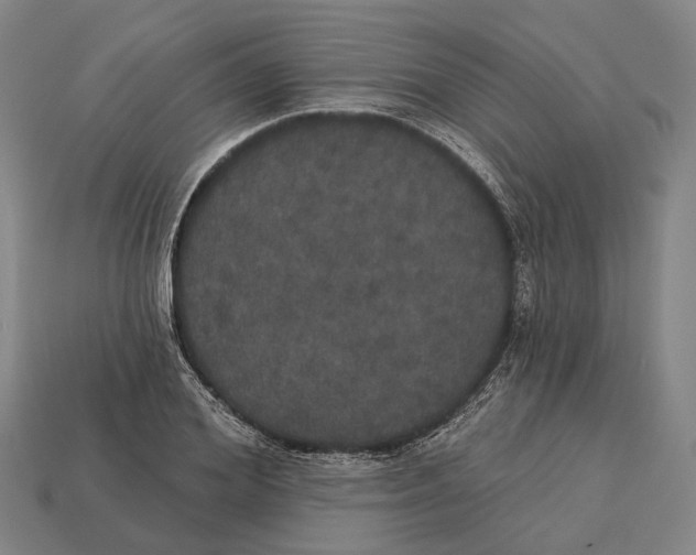 X0000113080980200909250946