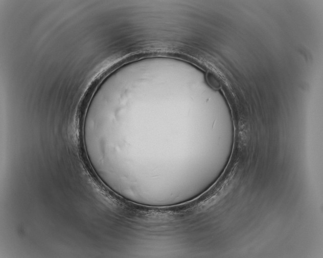 X0000113080981200909250946