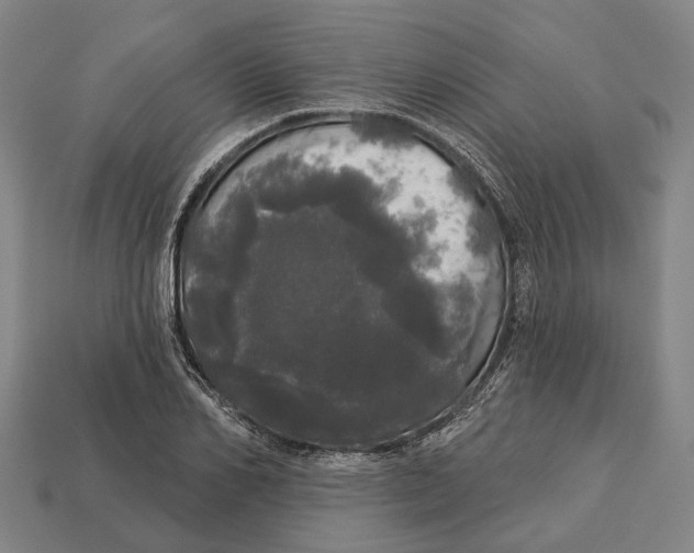 X0000113080982200909250946