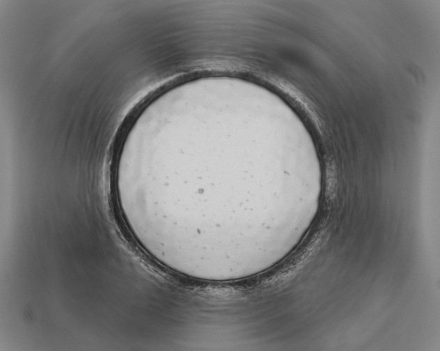 X0000113080983200909250946