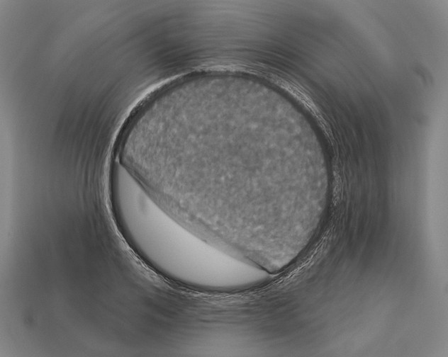 X0000113080984200909250946