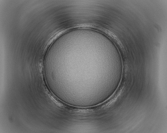 X0000113080985200909250946
