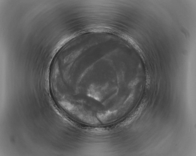 X0000113080986200909250946