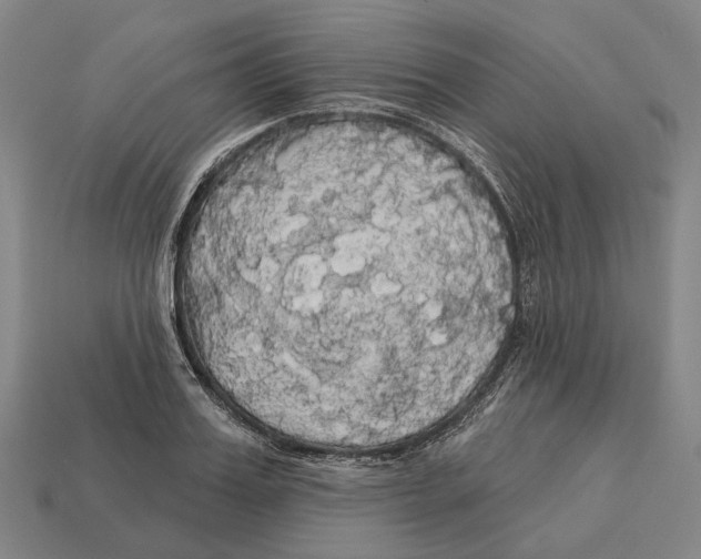 X0000113080987200909250946