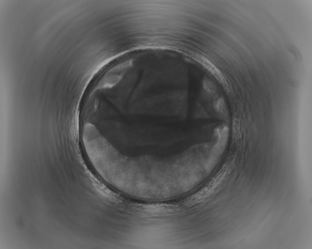 X0000113080988200909250946