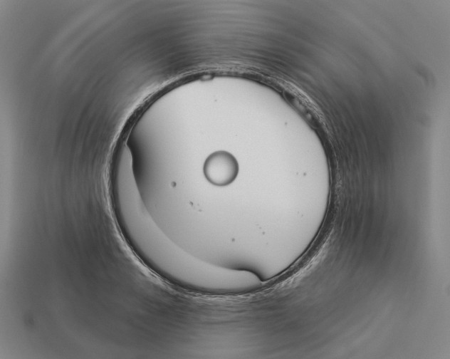 X0000113080989200909250946