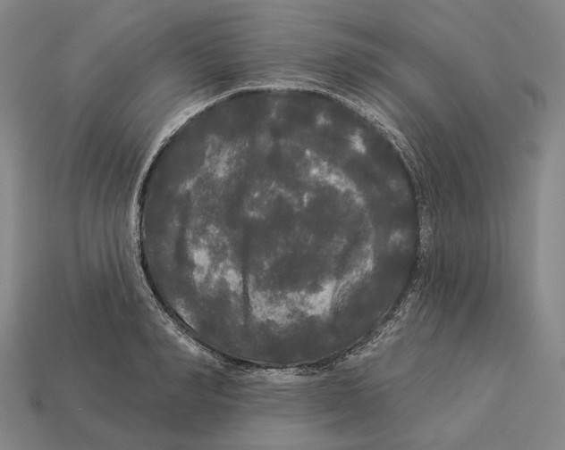X0000113080990200909250946