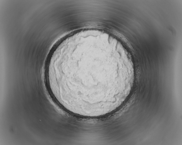 X0000113080991200909250946