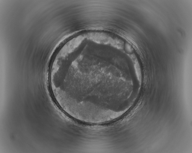 X0000113080992200909250946