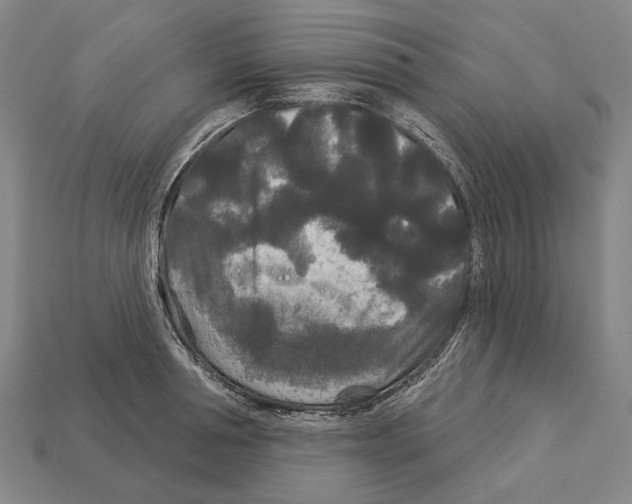 X0000113080994200909250946