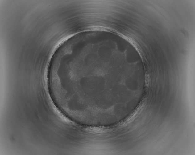 X0000113080995200909250946