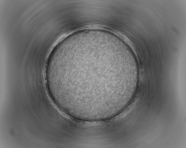 X0000113080997200909250946