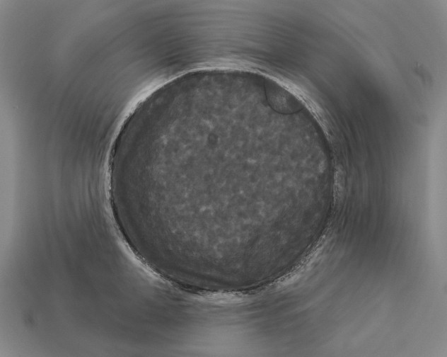 X0000113080998200909250946