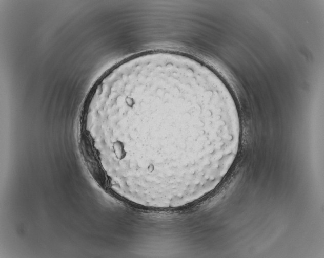 X0000113080999200909250946