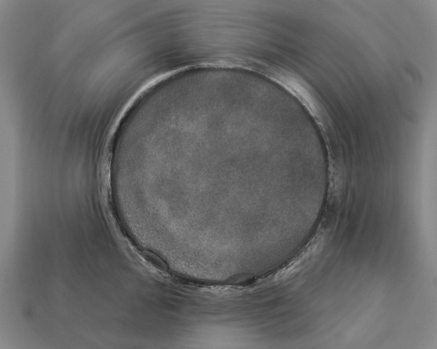 X0000113081000200909250946