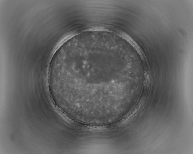X0000113081002200909250945